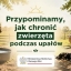 Grafika z zielonym napisem posrodku oraz zwierzeta gospodarskie w tle